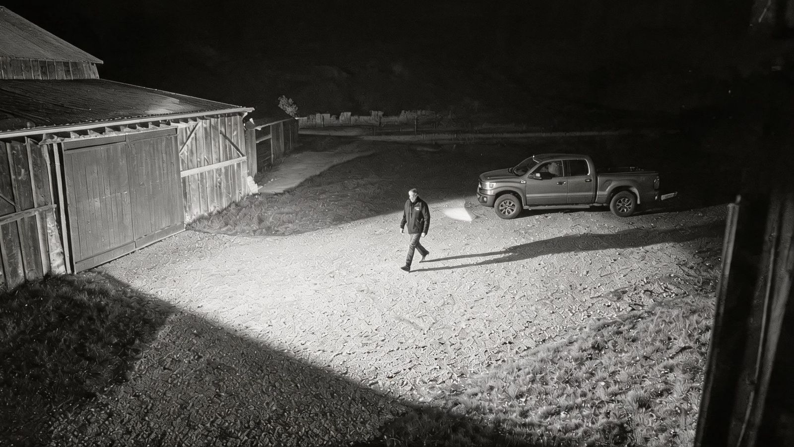 Infrared night footage of a farmyard