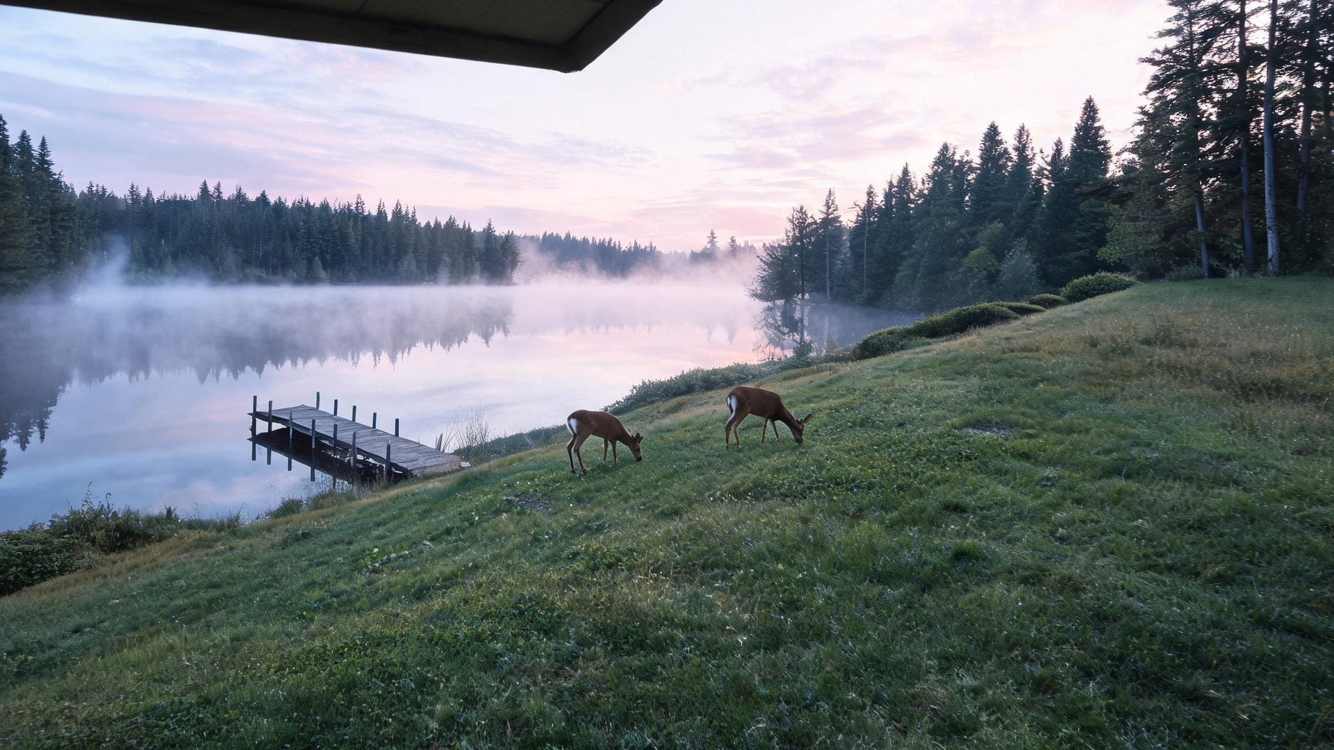 Two deer grazing by the lake at dawn