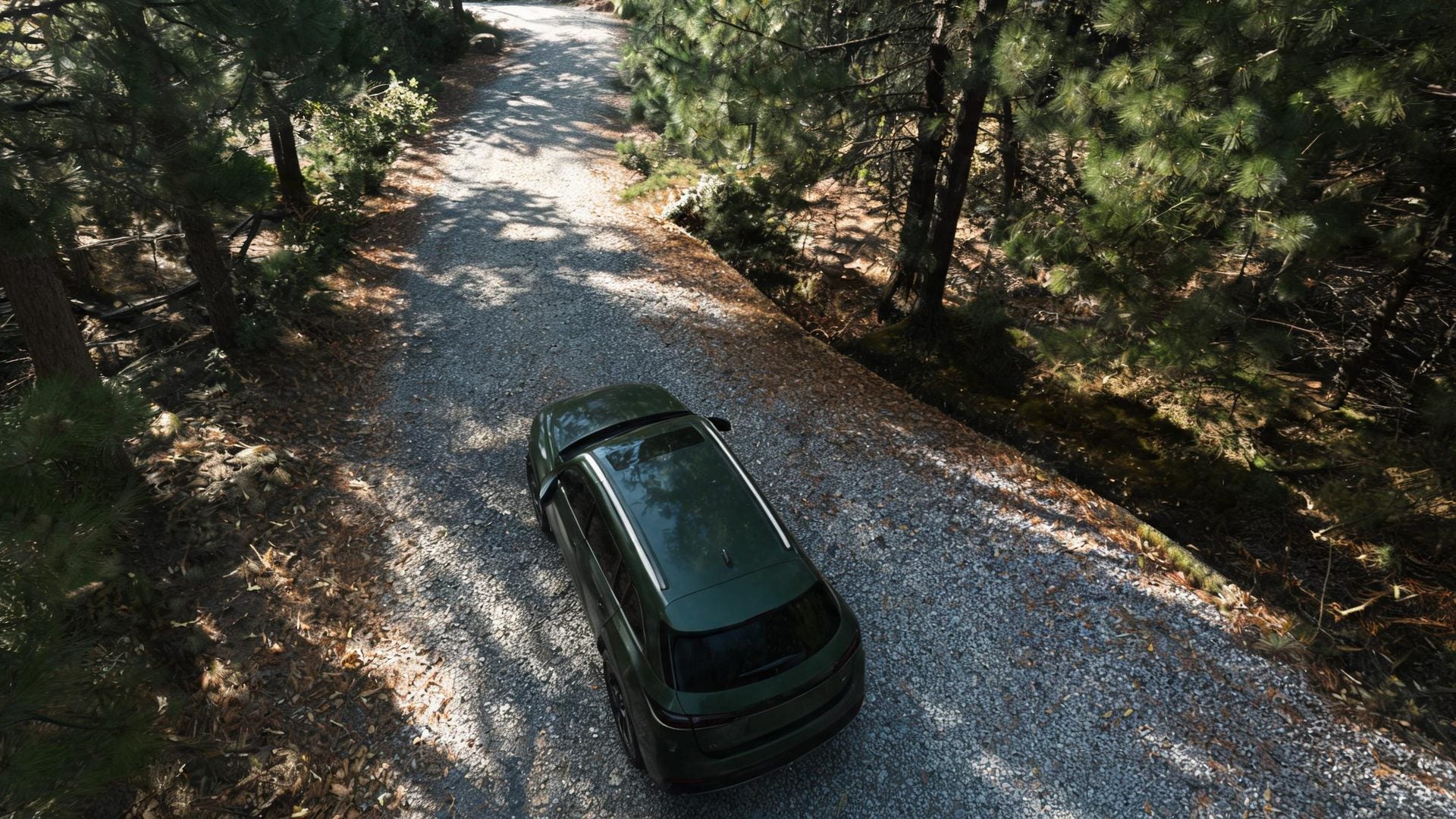 A car coming up the gravel lane through the pines